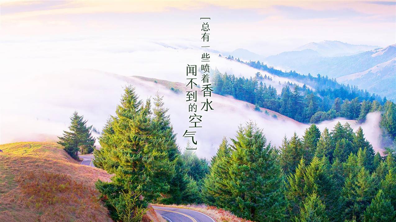 快手刷粉丝6元100-qq刷赞平台全网+最低价啊,快手平台刷赞,一毛钱刷赞网,qq说说赞自助下单平台便宜