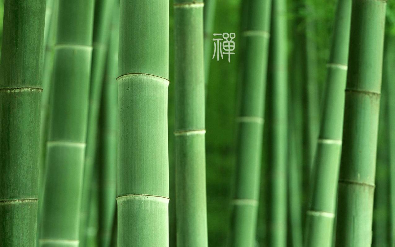 qq空间刷人气免费软件-QQ空间刷赞自助下单,全网低价刷业务啊豪,云少代刷,能够刷QQ赞的软件