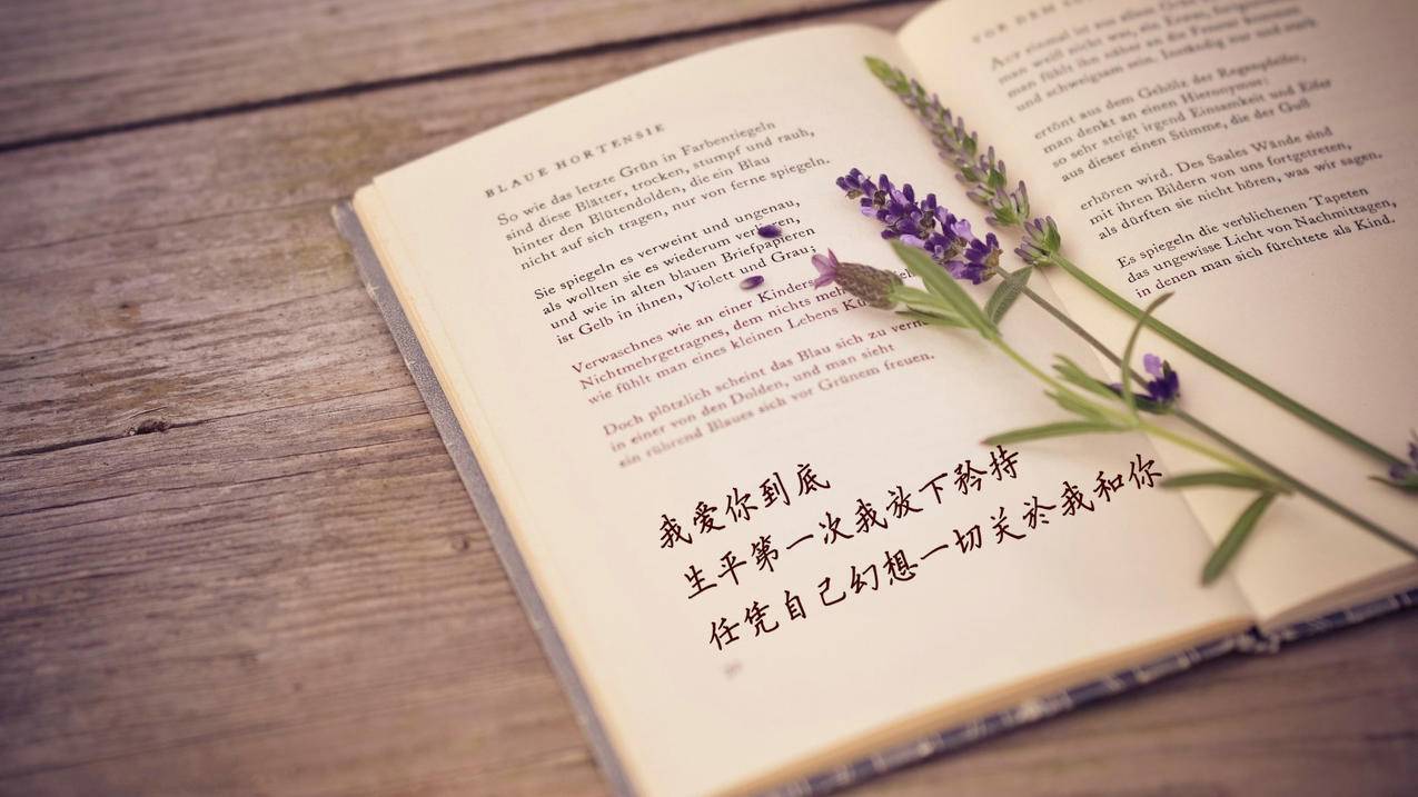 抖音刷赞软件墨言代刷