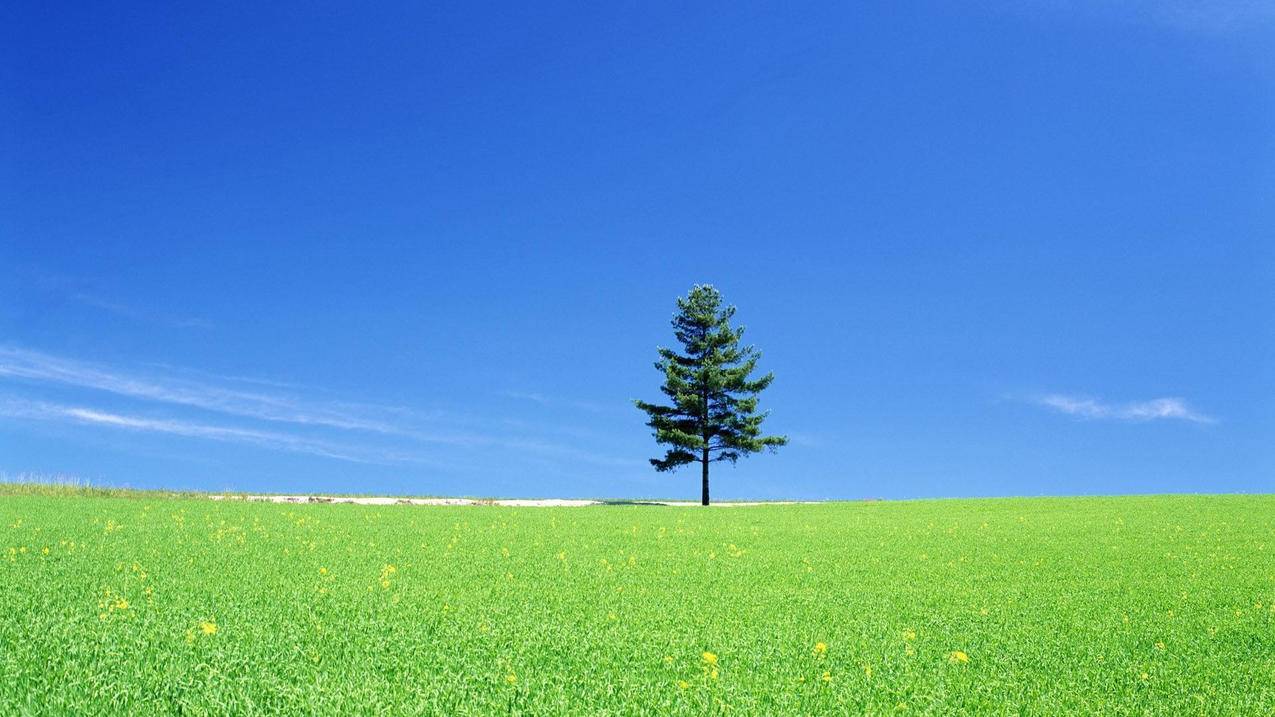 玖伍代刷网快手-美拍刷粉自助下单网站,抖音自助刷赞下单平台,qq空间浏览量免费