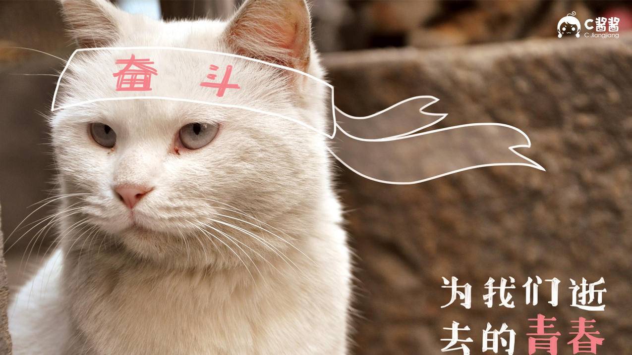 qq快乐吧刷说说赞网站 - 最低刷赞网站快手,快手业务平台便宜网站