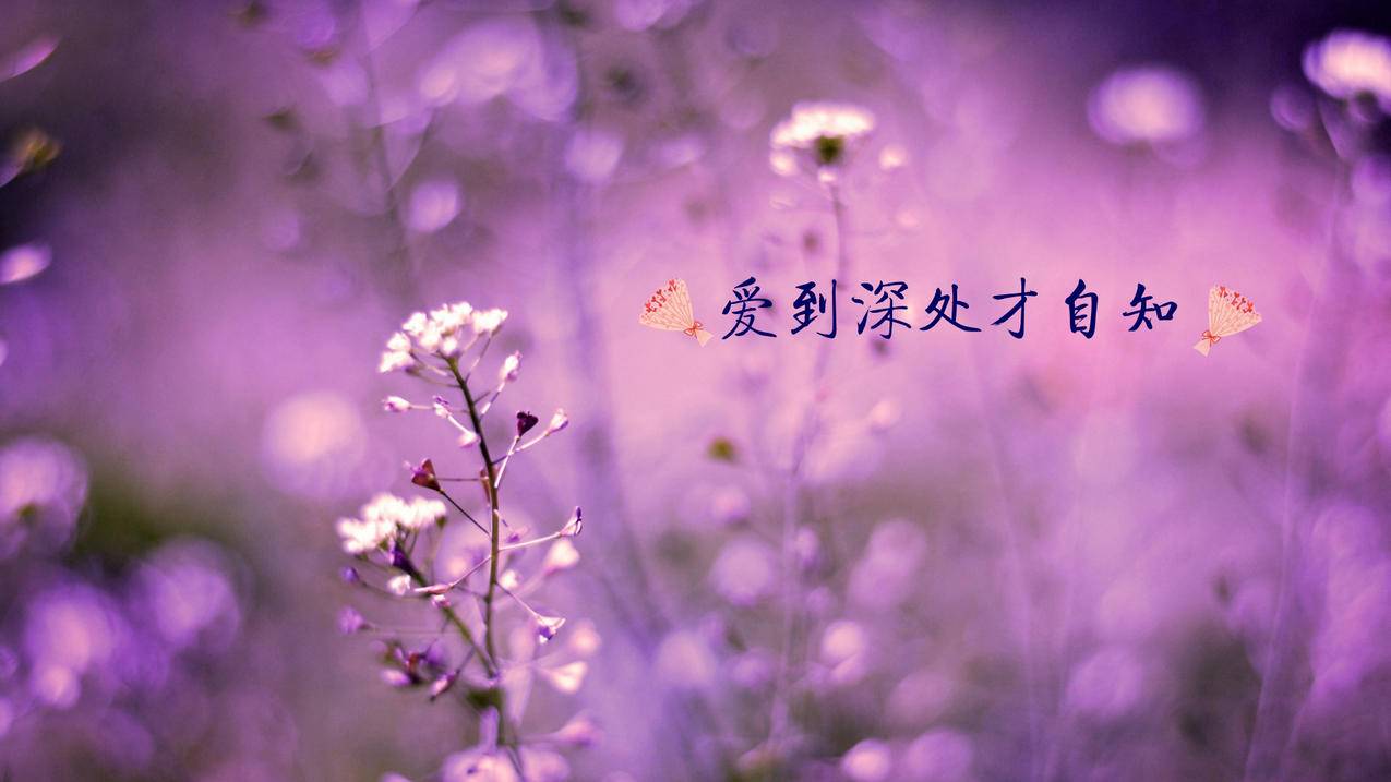 微博账号交易平台 -
