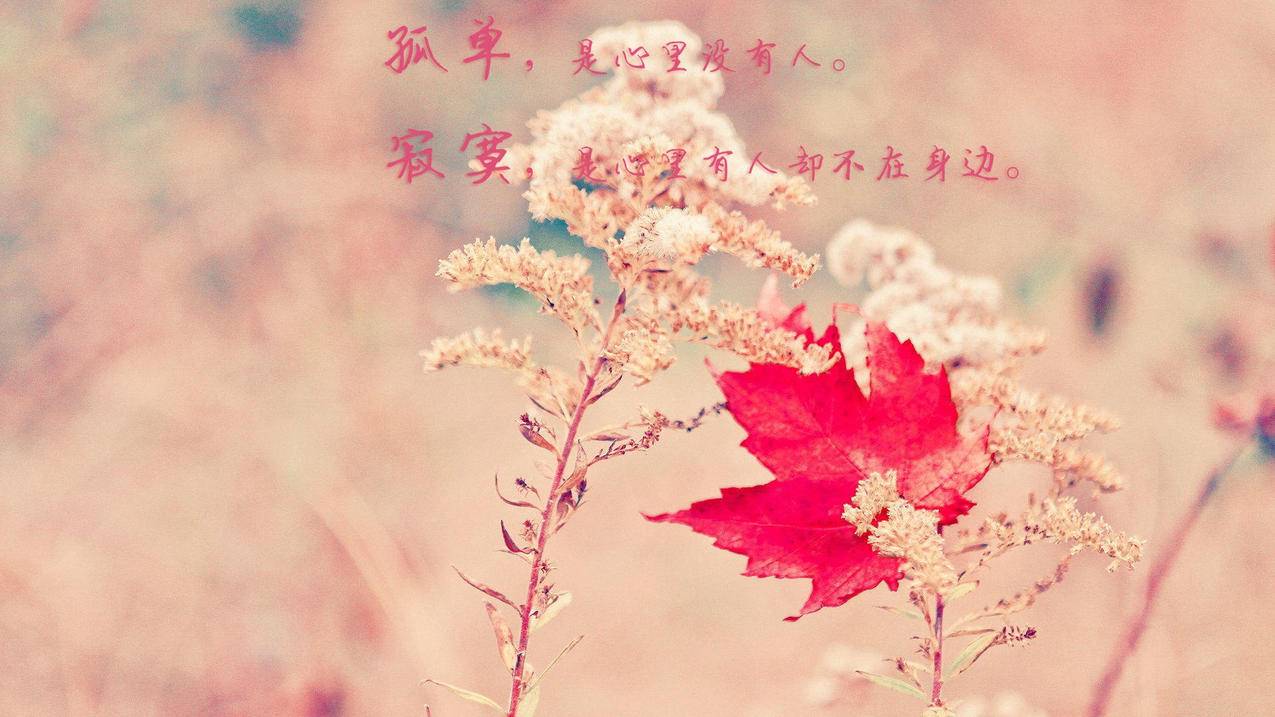 快手1元1000千粉丝活粉丝平台 - 一元10万qq赞网站海洋,刷空间说说赞墨言0元刷