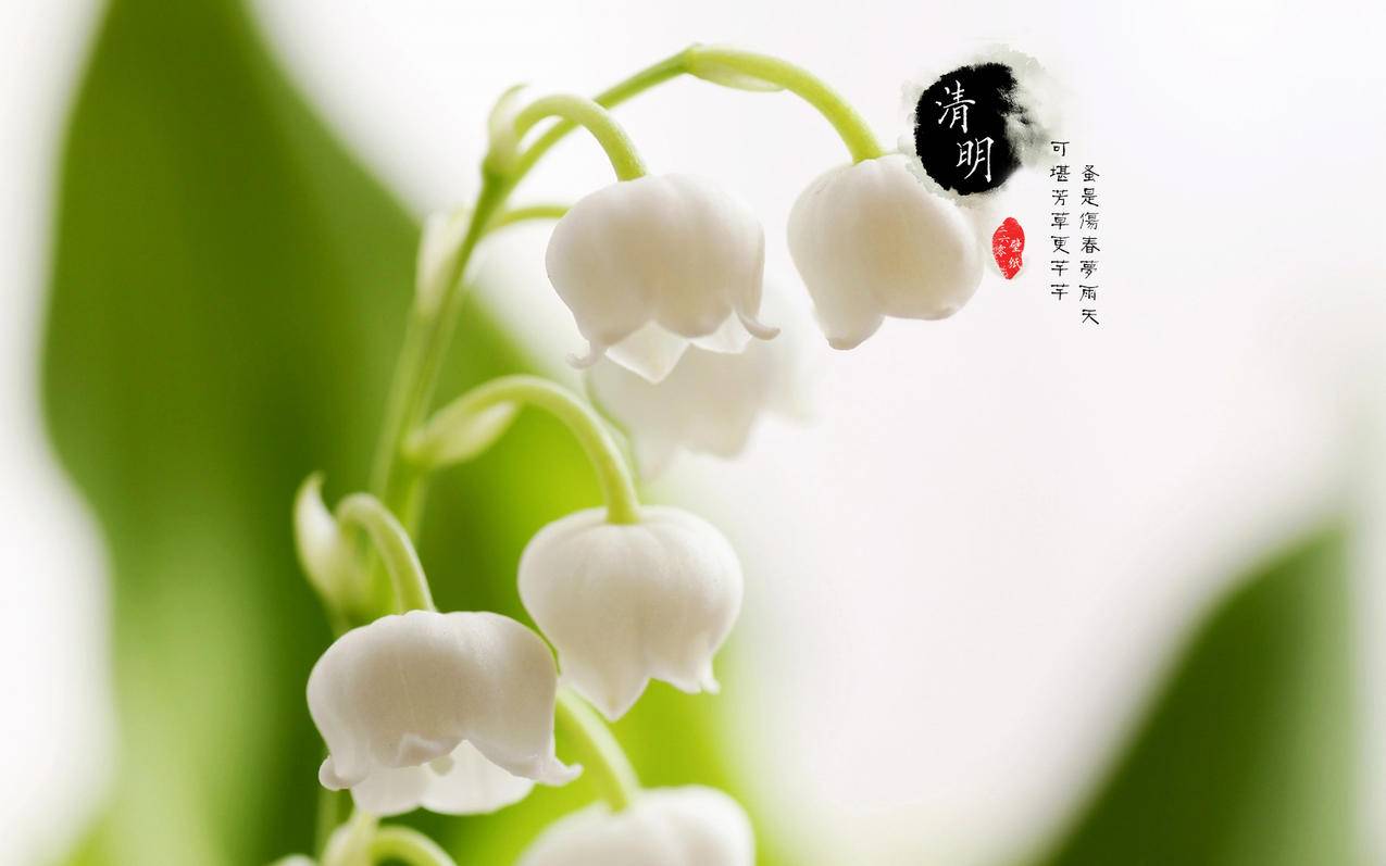微博粉丝自助下单台 - 2018qq刷空间人气访问量