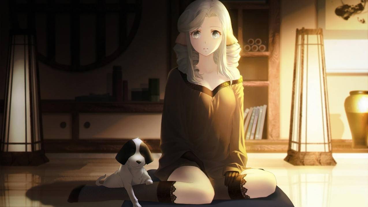 刷快手100粉丝-0