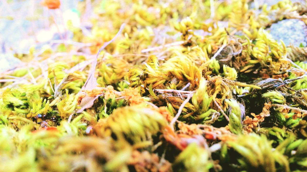 求求空间刷赞 - 快手免费刷赞业务网站平台-快手刷赞网站上班-王者刷主页人气卡盟
