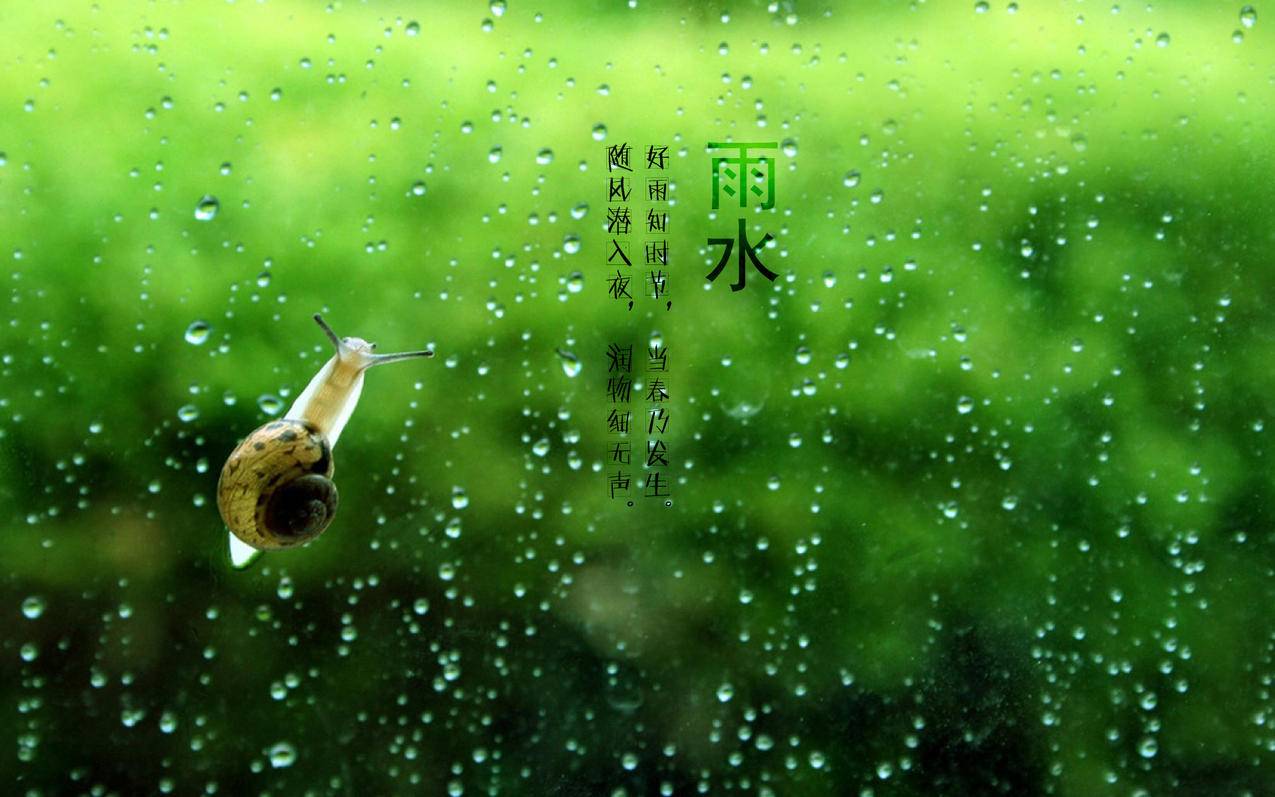 平价刷赞网站 - 代网站刷业务最低-晨风刷空间人气
