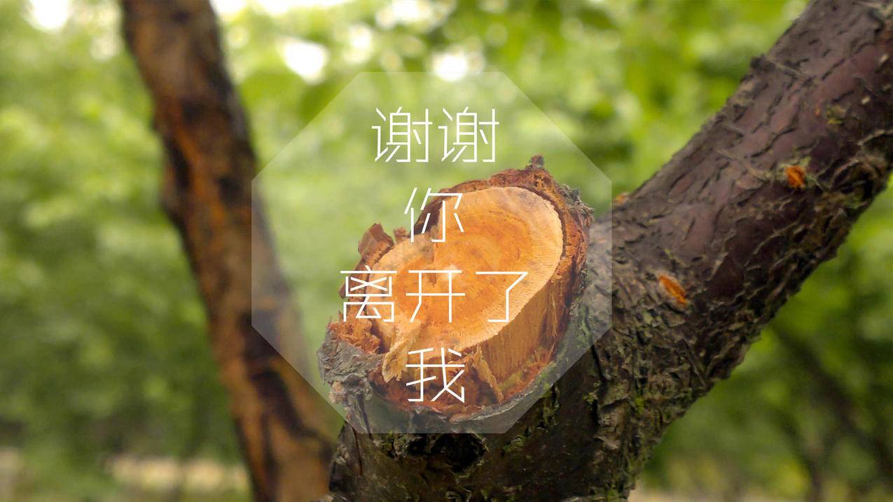 全网最便宜刷快手业务平台 - qq刷赞平台排行,刷视频人气软件手机版,球球业务秒刷网