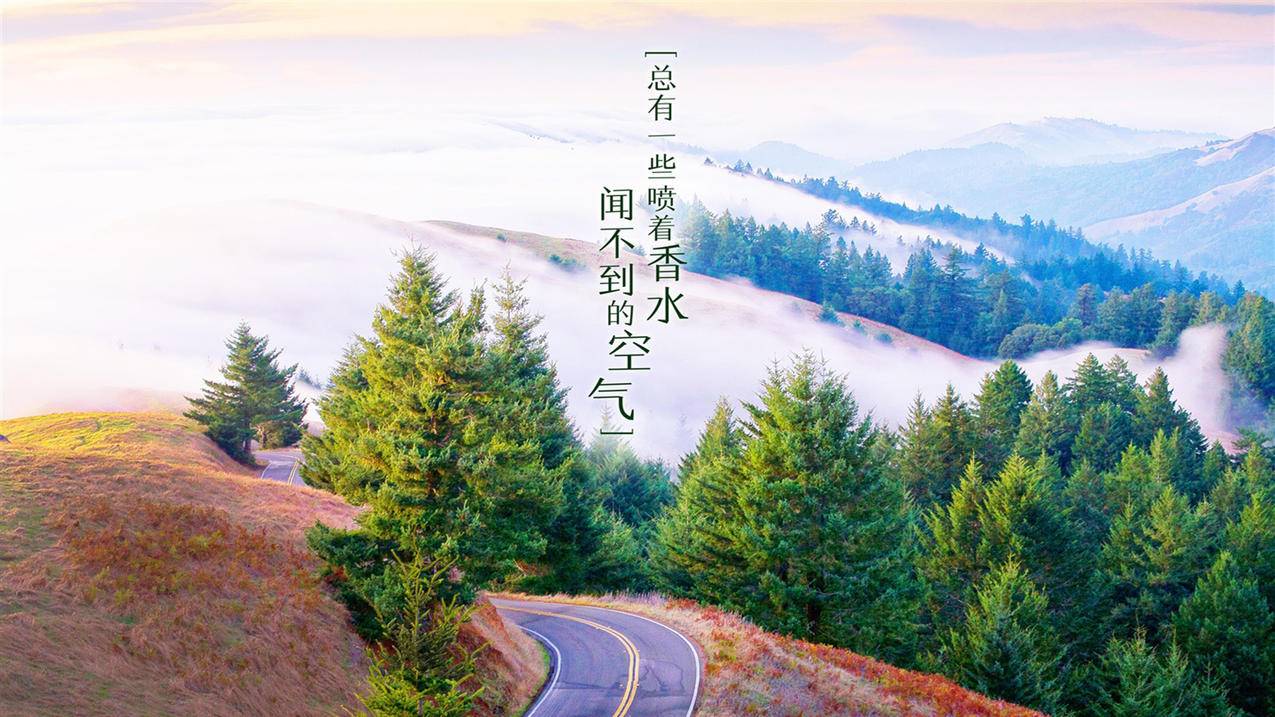 快手刷赞网站最便 - 快手业务网址免费-拼多多红包刷人助手