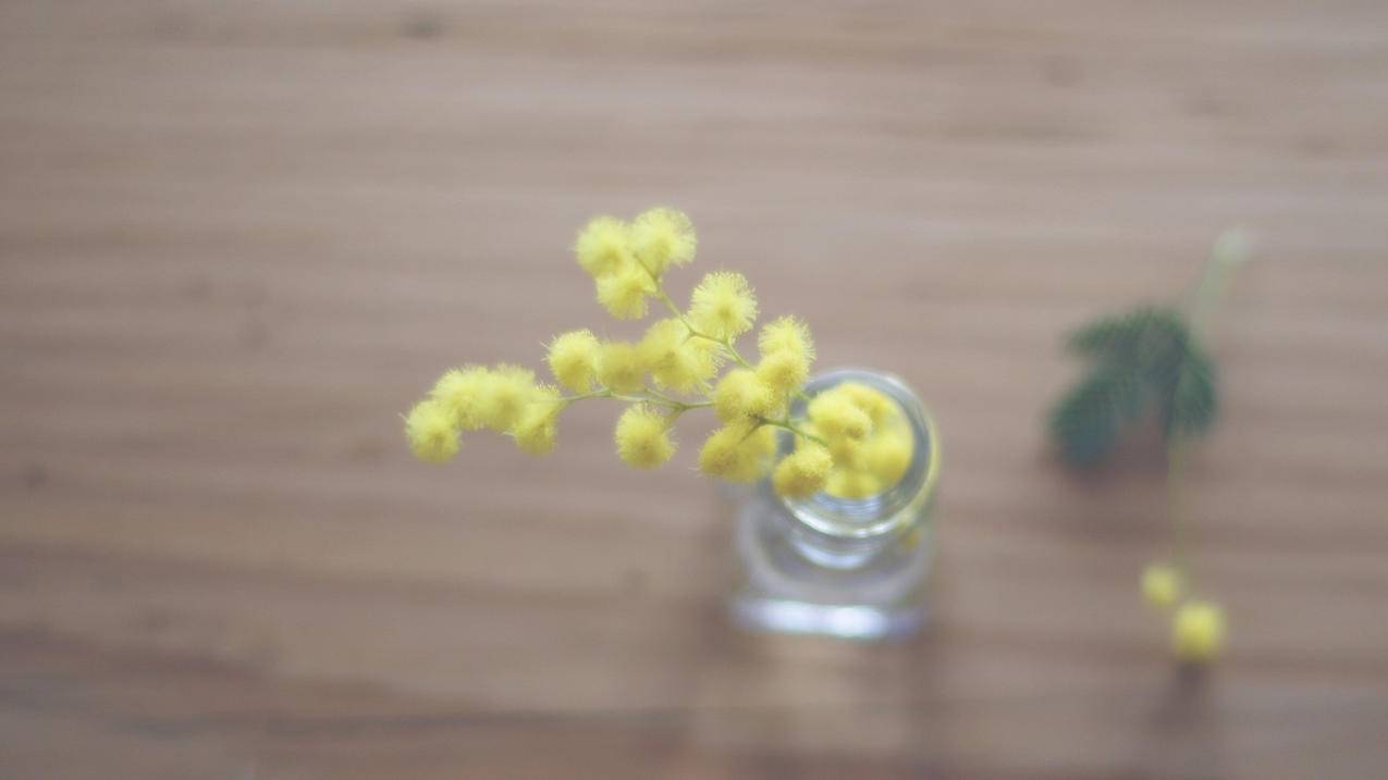 视频会员自助下单平台 - 快手刷粉丝赞帮帮平台-幽灵卡盟官网-刷赞网站墨言代刷网
